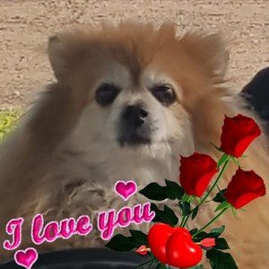 Meet your Posher, Lynn